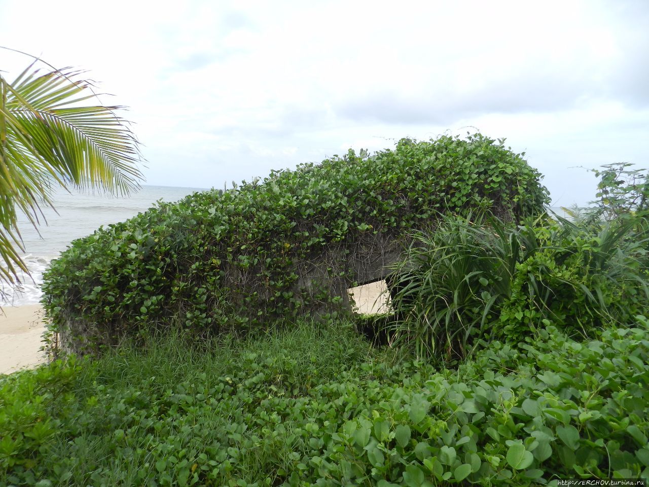 Китай и Россия. Размышления дилетанта Китай