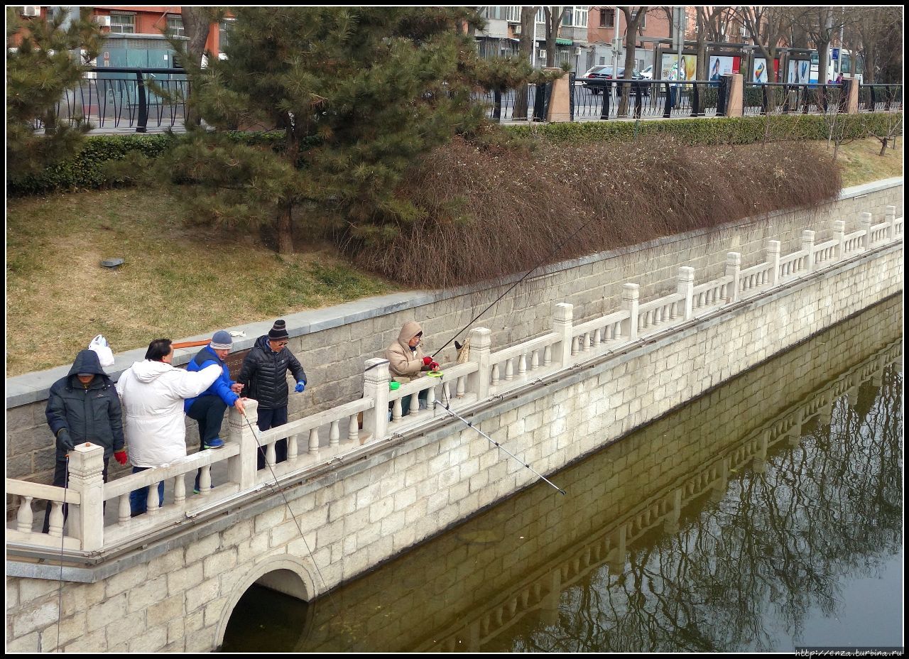 В поисках  Тяньнина Пекин, Китай