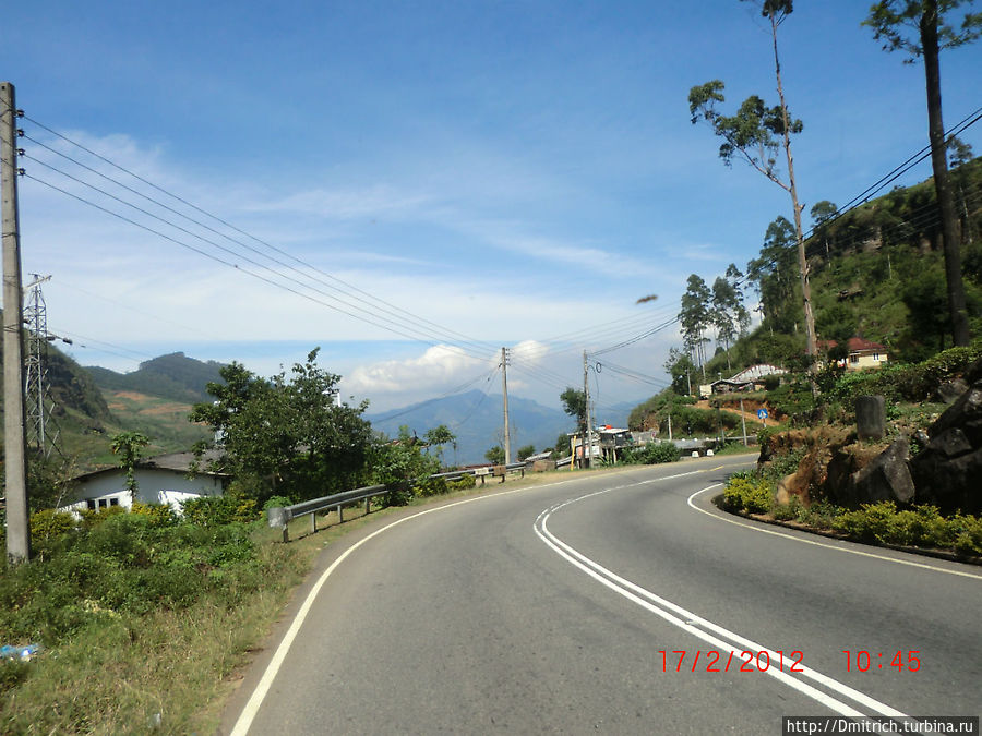 По дороге увидишь такое...