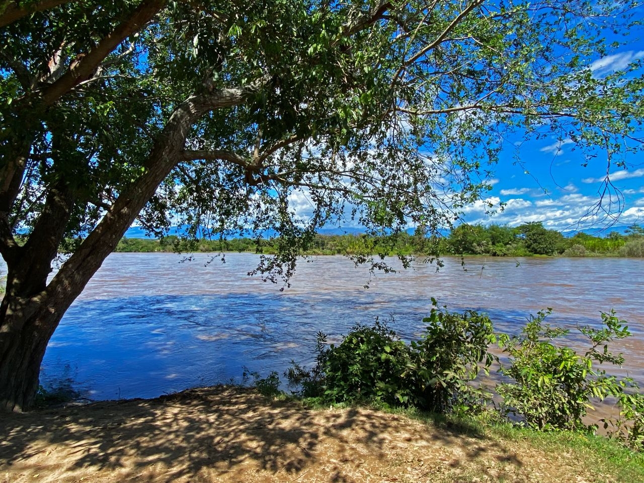 Река Магдалена Аипе, Колумбия