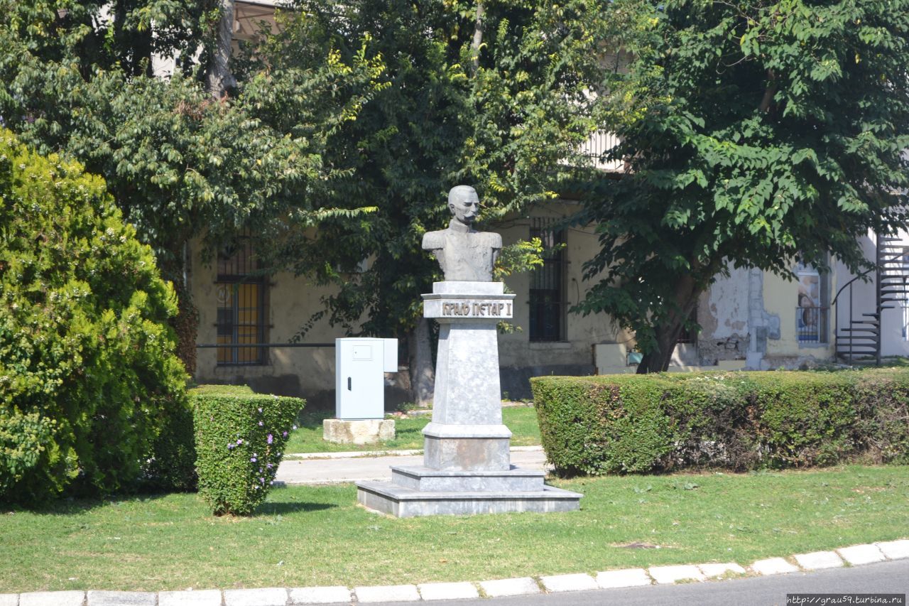 Памятник королю Петру I / Monument to king Peter I