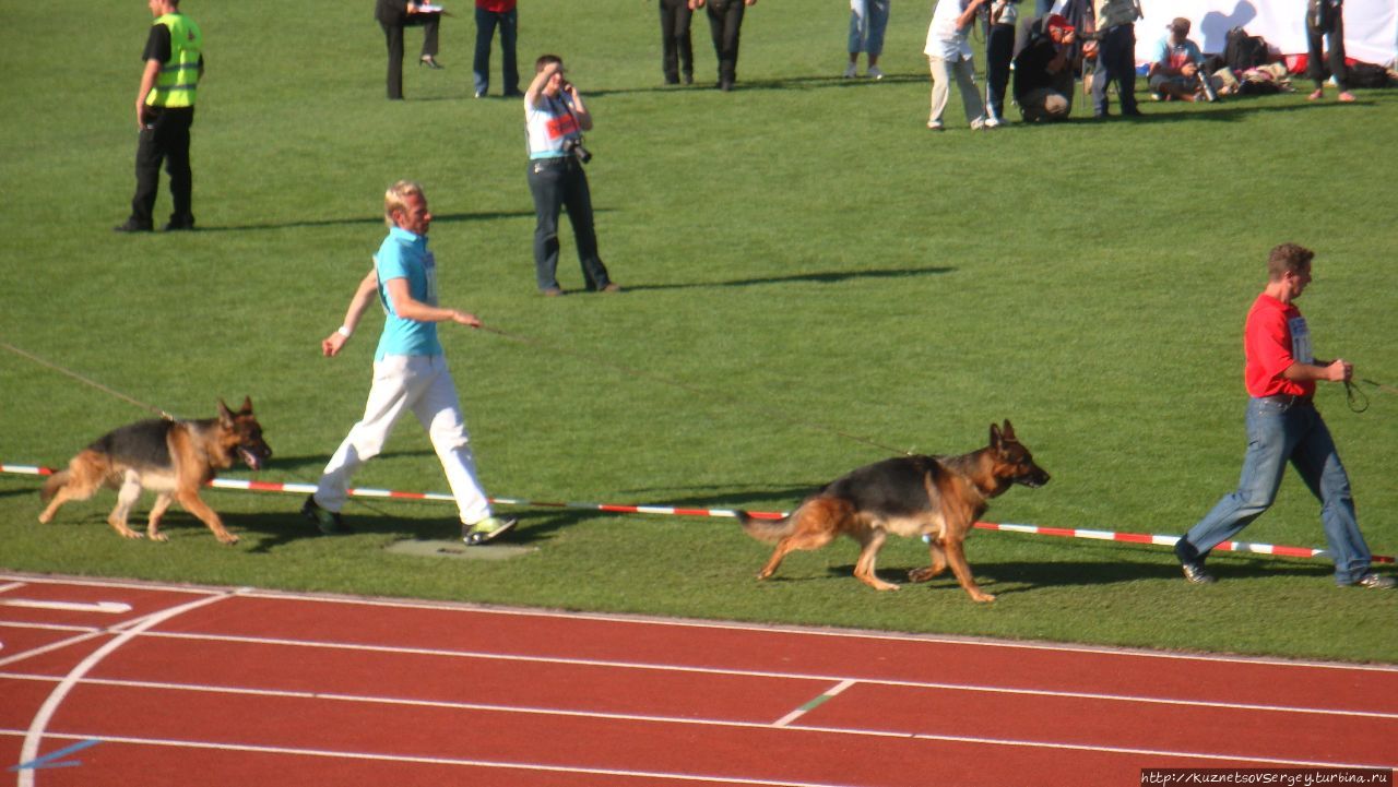 Зигер в Ульме Ульм, Германия