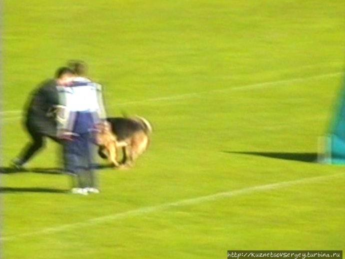 Первый день Зигера в Ульме. Проверка поведения. Германия