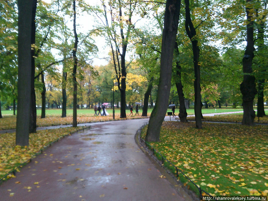 Акварели Михайловского сада Санкт-Петербург, Россия