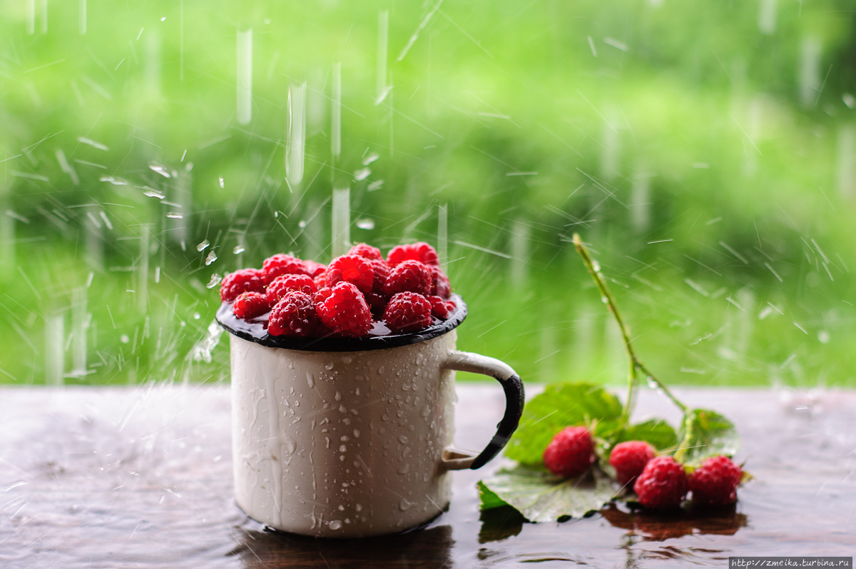 Краски моего лета