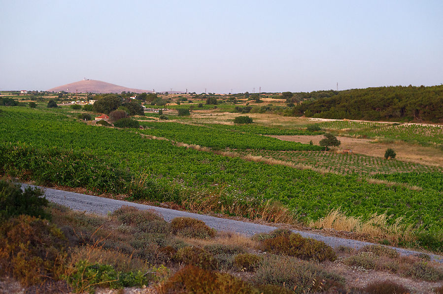 А это вид от виноградников в сторону холма, с которого сняты предыдущие фотографии. Остров Бозджаада, Турция