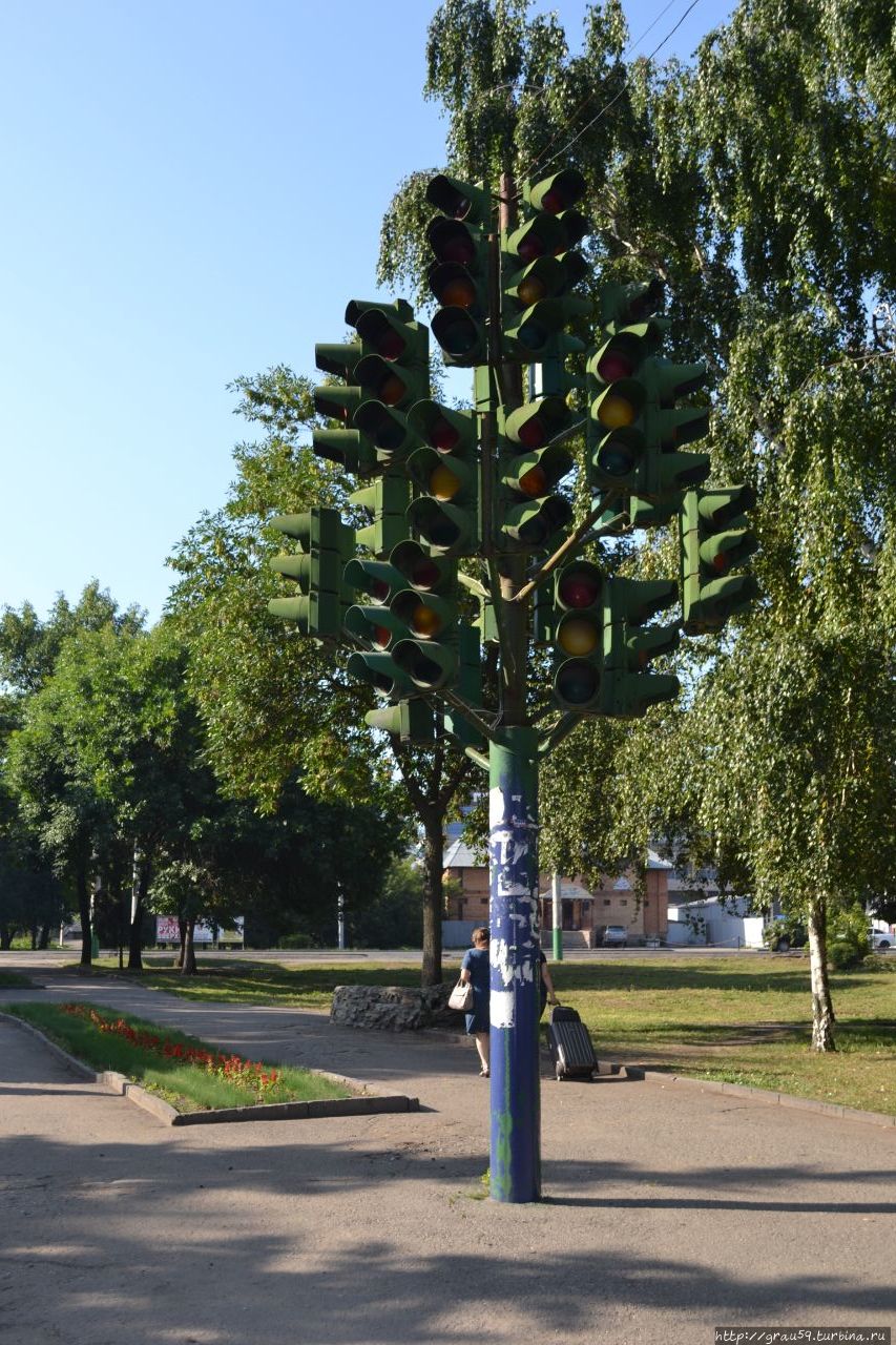 Светофорное дерево Пенза, Россия