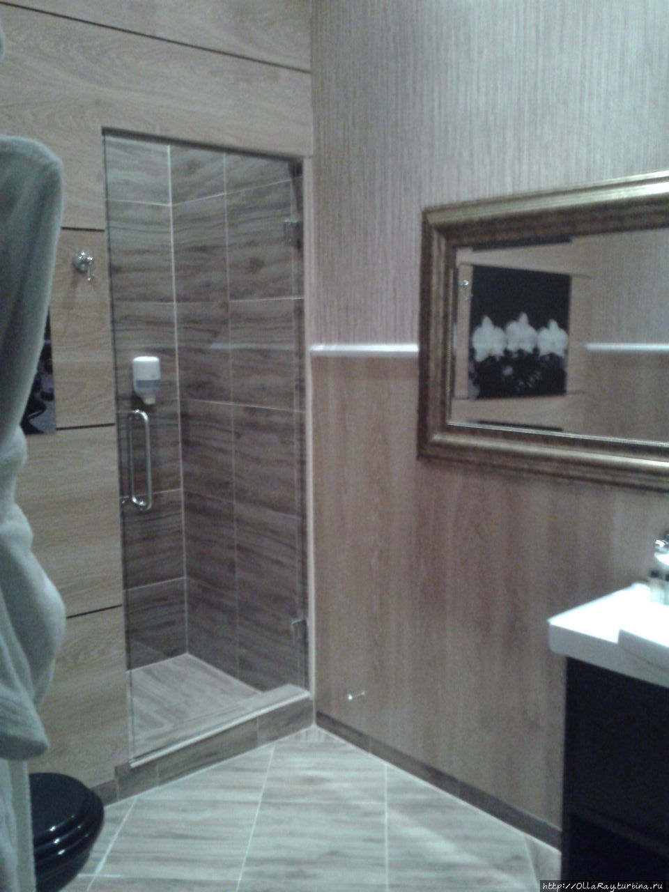Туалетная комната в номере Москва и Московская область, Россия