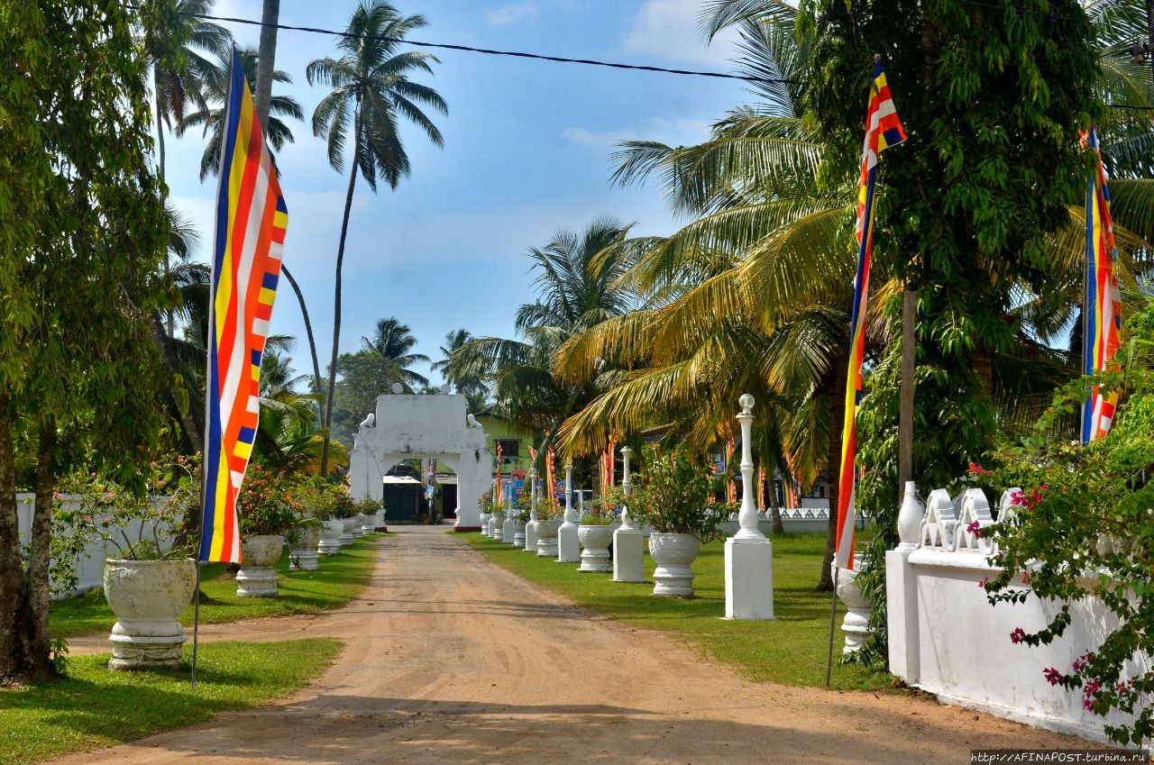 Шри Пушпарама Маха Вихарая (Наяка Пансала) Балапития, Шри-Ланка