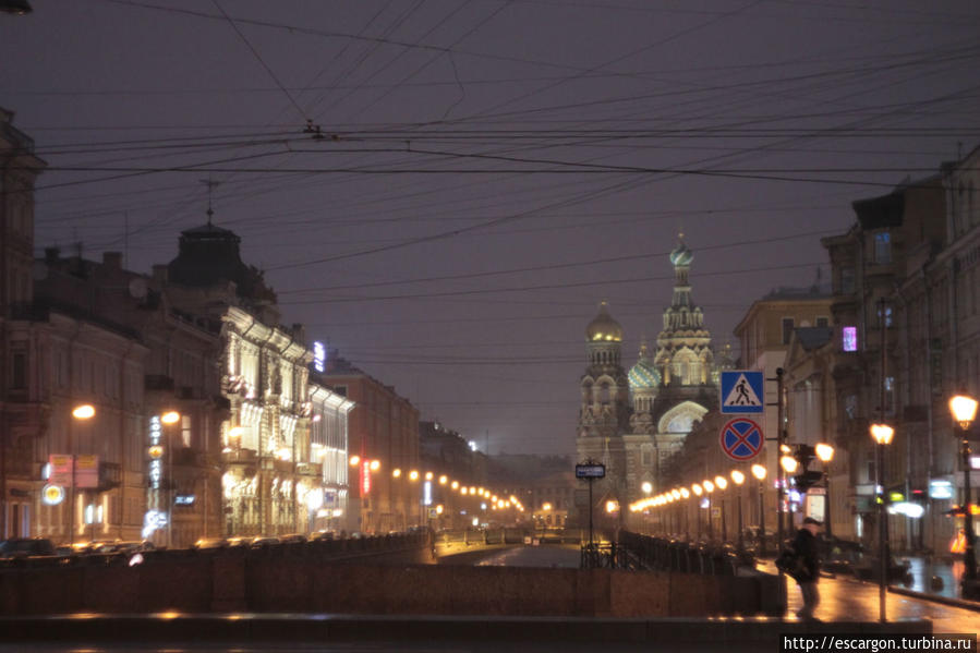 Утренний Петербург: три стадии знакомства Санкт-Петербург, Россия