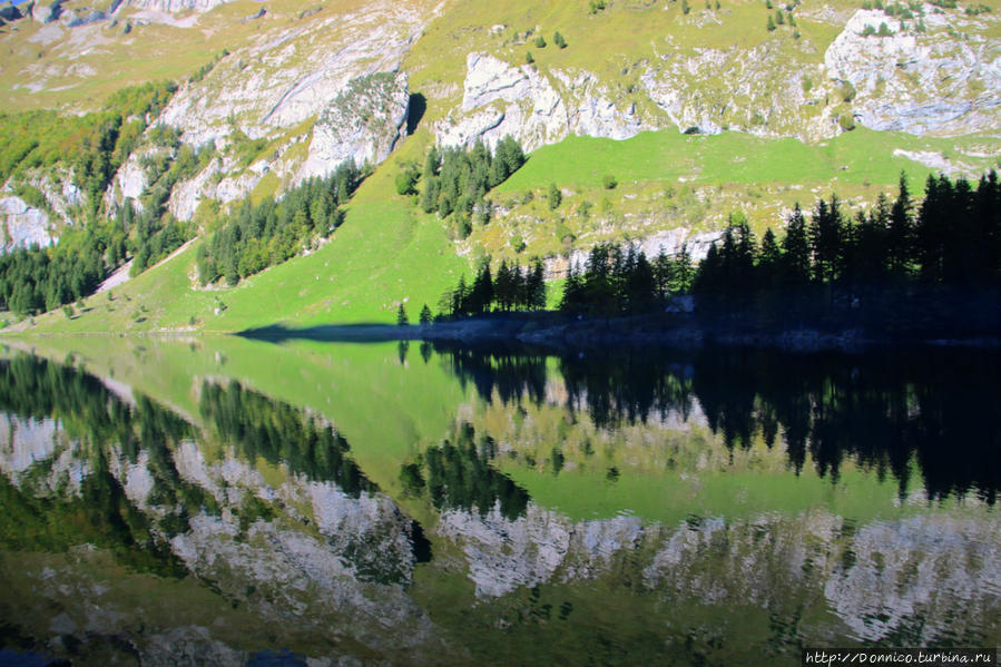 Озеро Альпийское Озеро Зееальпзее (озеро), Швейцария