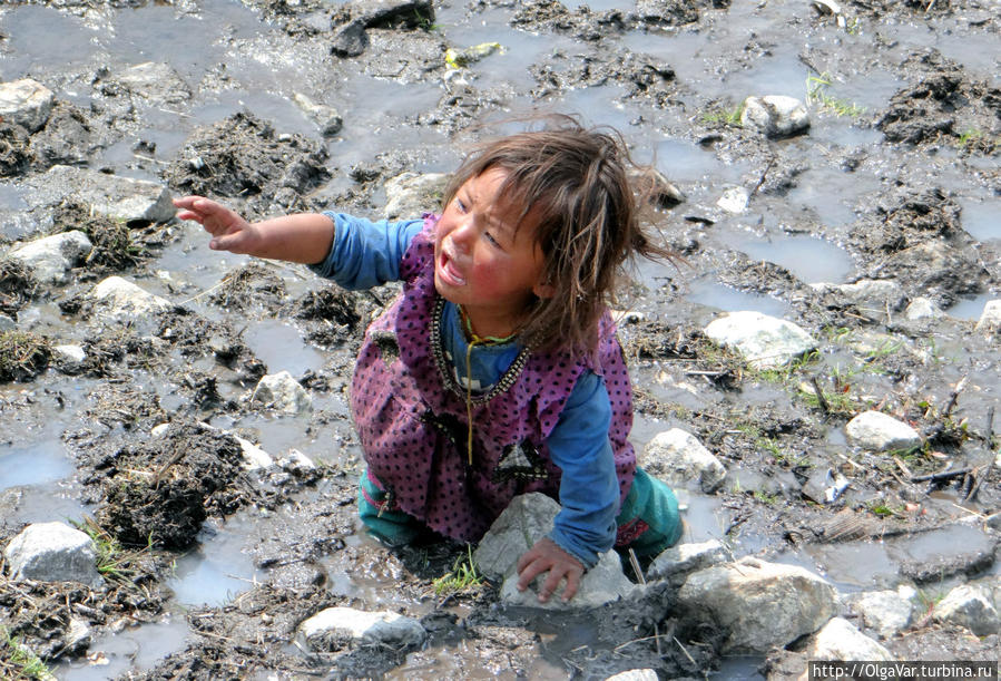Крупным планом: дети Земли у подножия гор Лангтанг, Непал