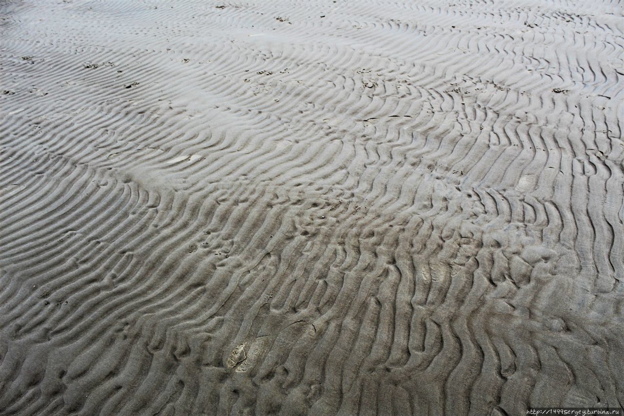 Зыбучие пески Сосновый Бор, Россия