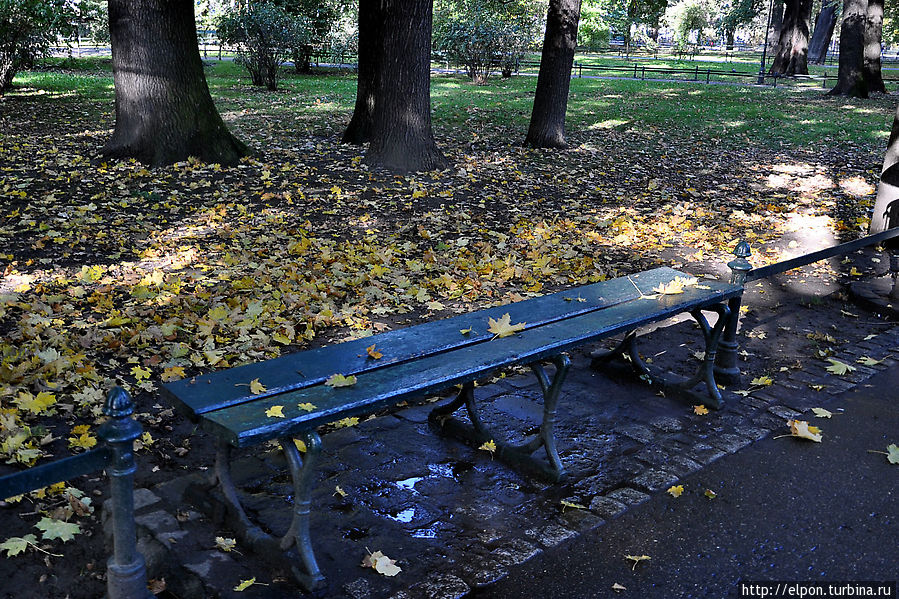 Осенний калейдоскоп в Кракове Краков, Польша