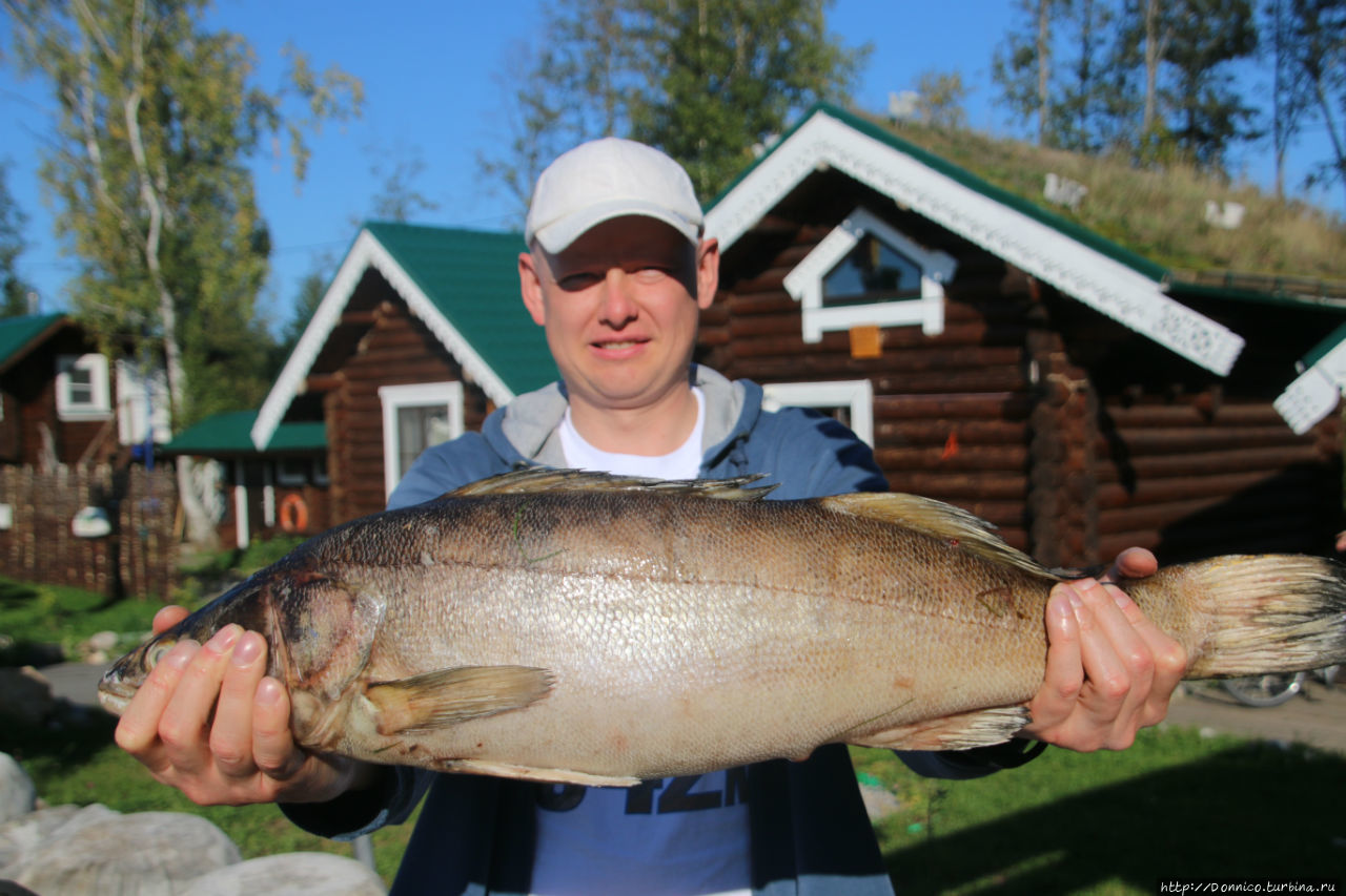 На поиски печальной Рыбы-Солнце Тудозеро (озеро), Россия