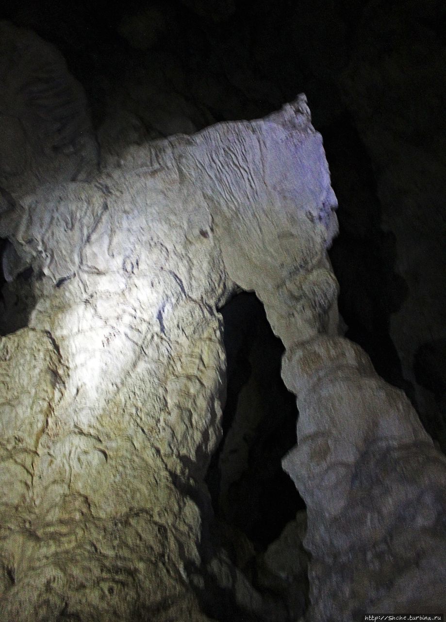 Treasure cave. Cave rose. Грот пещера. Пещера диналеди. Сочинский национальный парк воронцовская пещера.