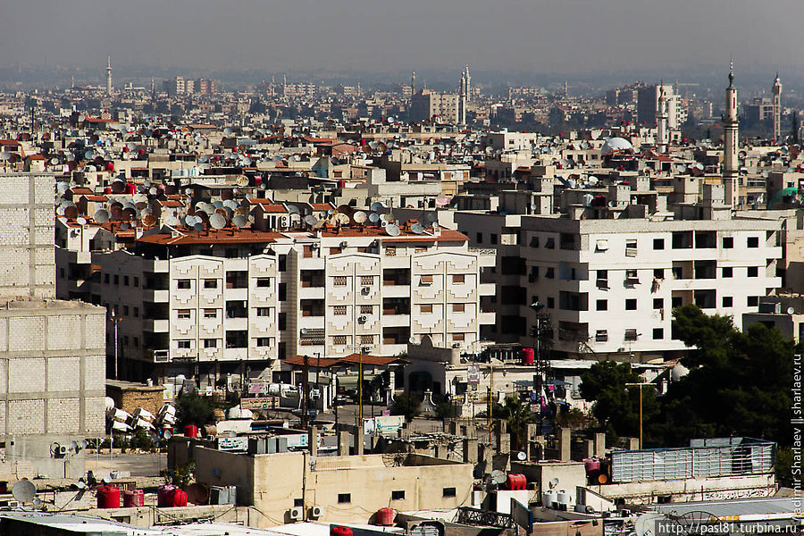 Дамаск какое государство. Дамаск Турция. Сирия колыбель цивилизации. Дамаск население. Дамаск (город).