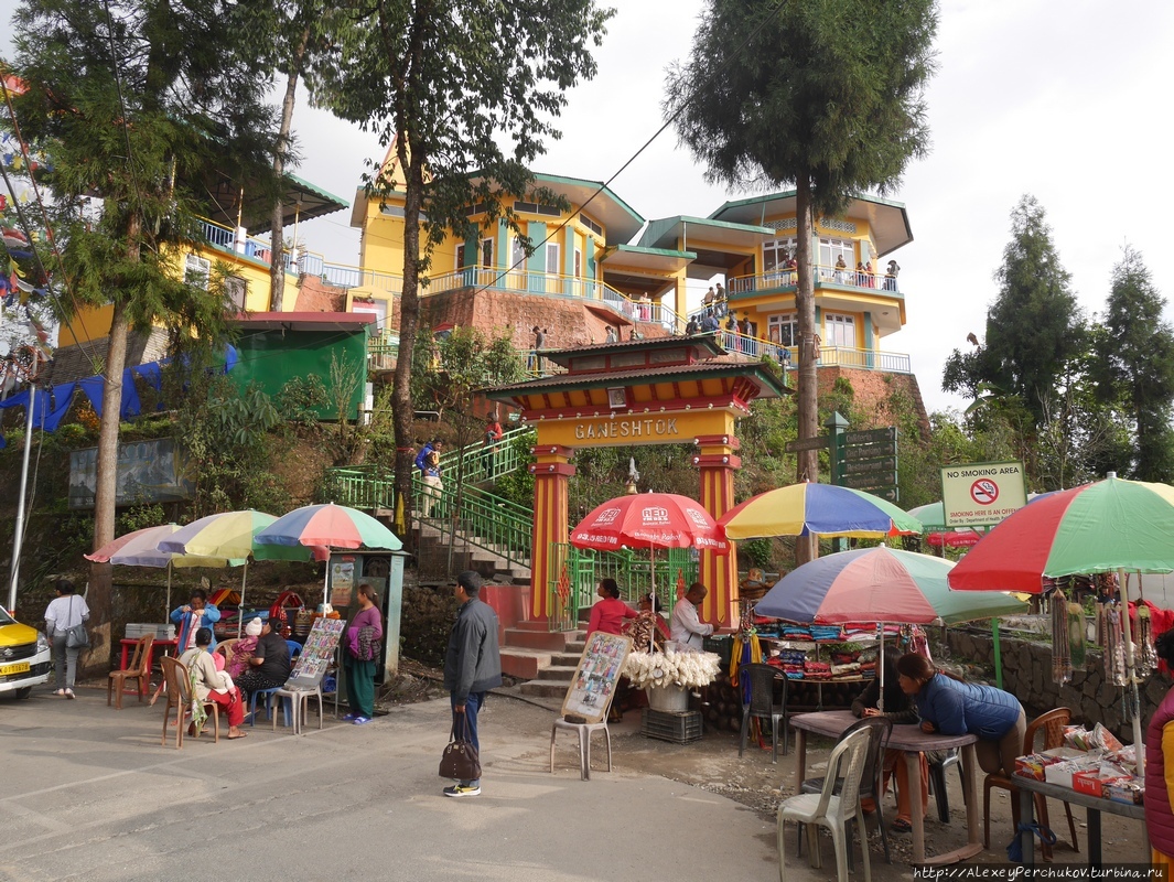 Отчет о поездке в Сикким в марте 2017 Индия