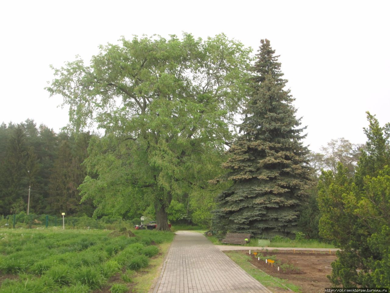 Ботанический сад — встреча с улиткой и прогулка к выходу Минск, Беларусь