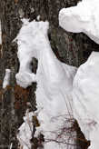 21 января
Семинский перевал. Снежный морской конек.