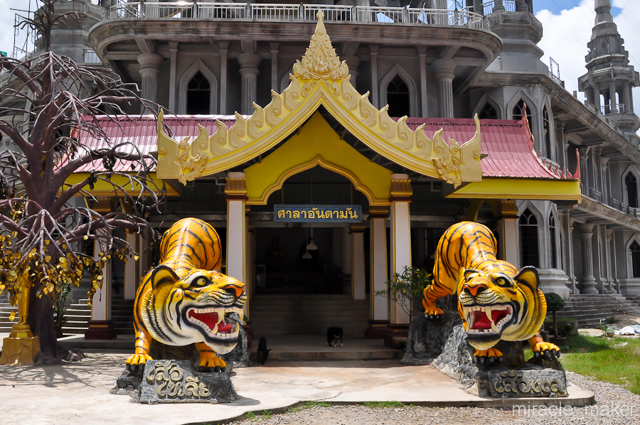 У подножия горы расположен целый религиозный комплекс, состоящих из различных пагод, ступ, и прочих сооружений. Вход в центральный храм охраняют два свирепых тигра.