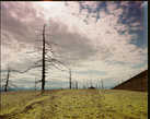 Мертвый лес — во время извержения в 1975-1976 годах была засыпана пеплом и шлаком огромная территория, на которой находилась растительность