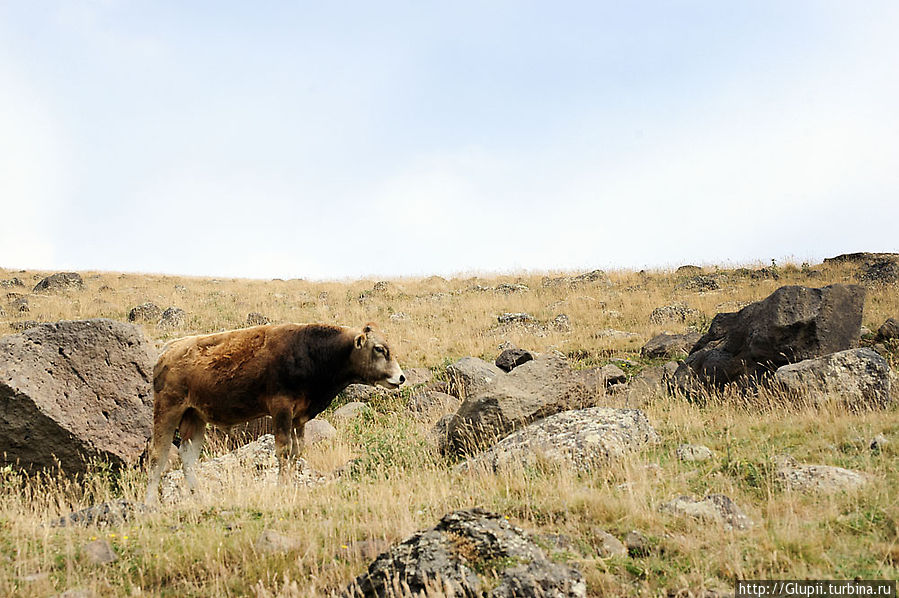 Поездка на Арагац Арагац гора (4095м), Армения