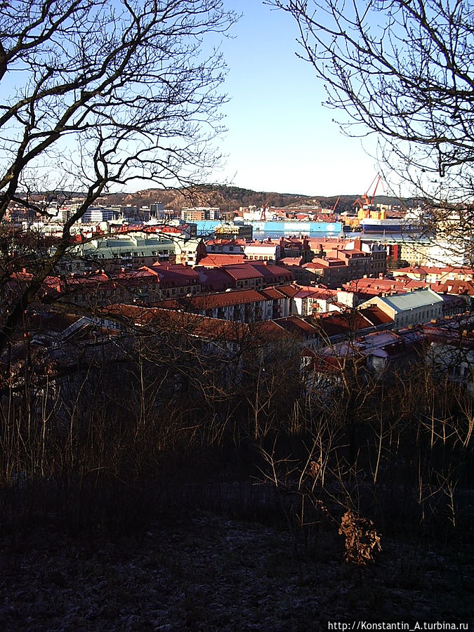 вид с дороги