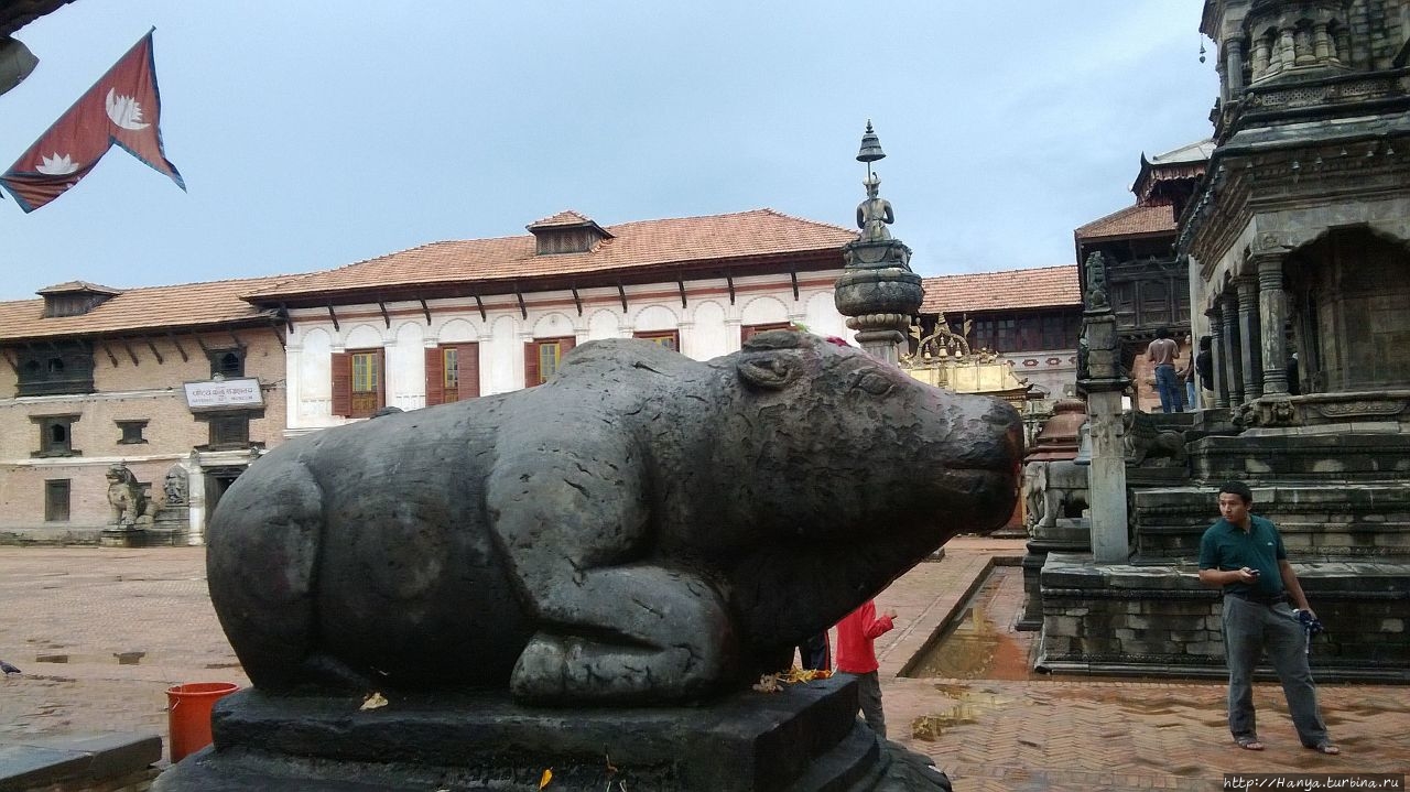 Из интернета