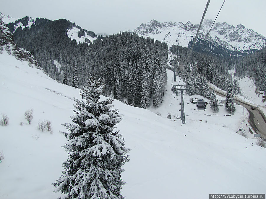 Вид из гандолы канатной дороги