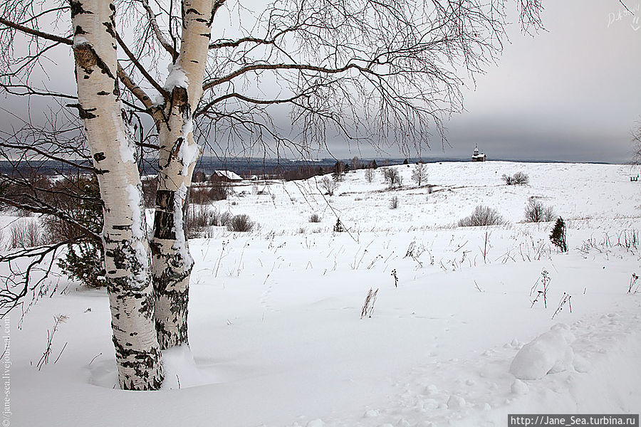 Часовня Спаса Нерукотворного из деревни Вигово