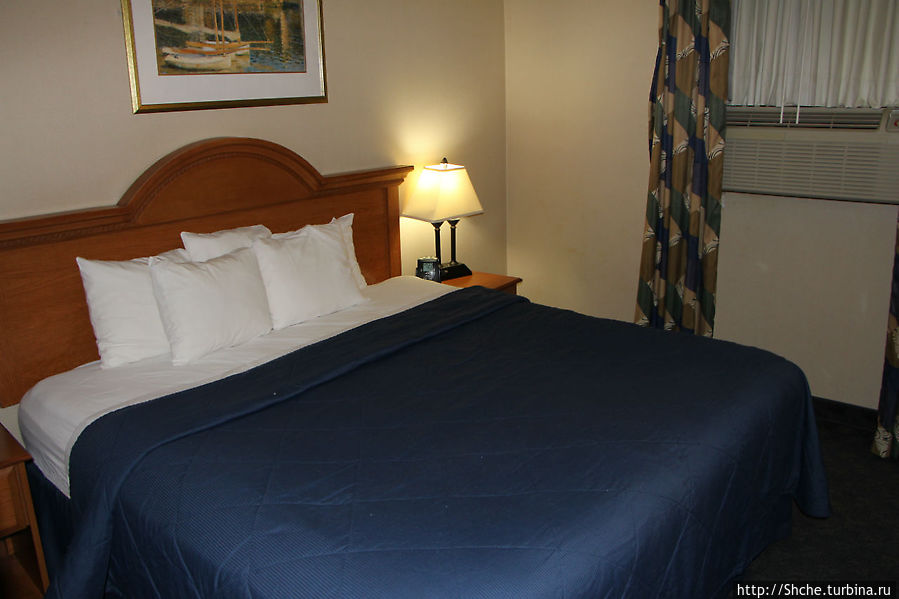 Comfort Inn JFK Airport