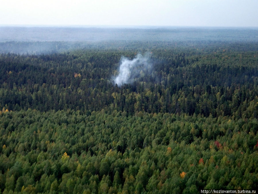 Есть еще в Томской тайге непотушенные пожары. Томская область, Россия