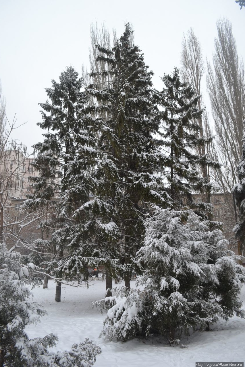 Янковский в Саратове Саратов, Россия