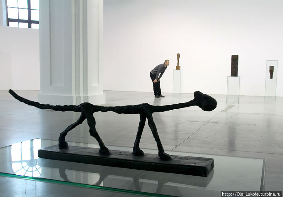 Диего Джакометти Кот Киев, Украина