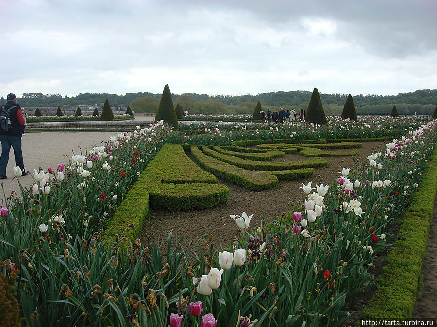Фантазийные сады великого гения садовой архитектуры — месье А.Ленотра. Версаль, Франция