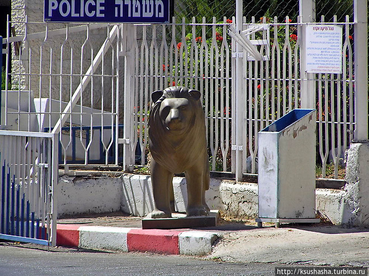 На улице Иерусалима