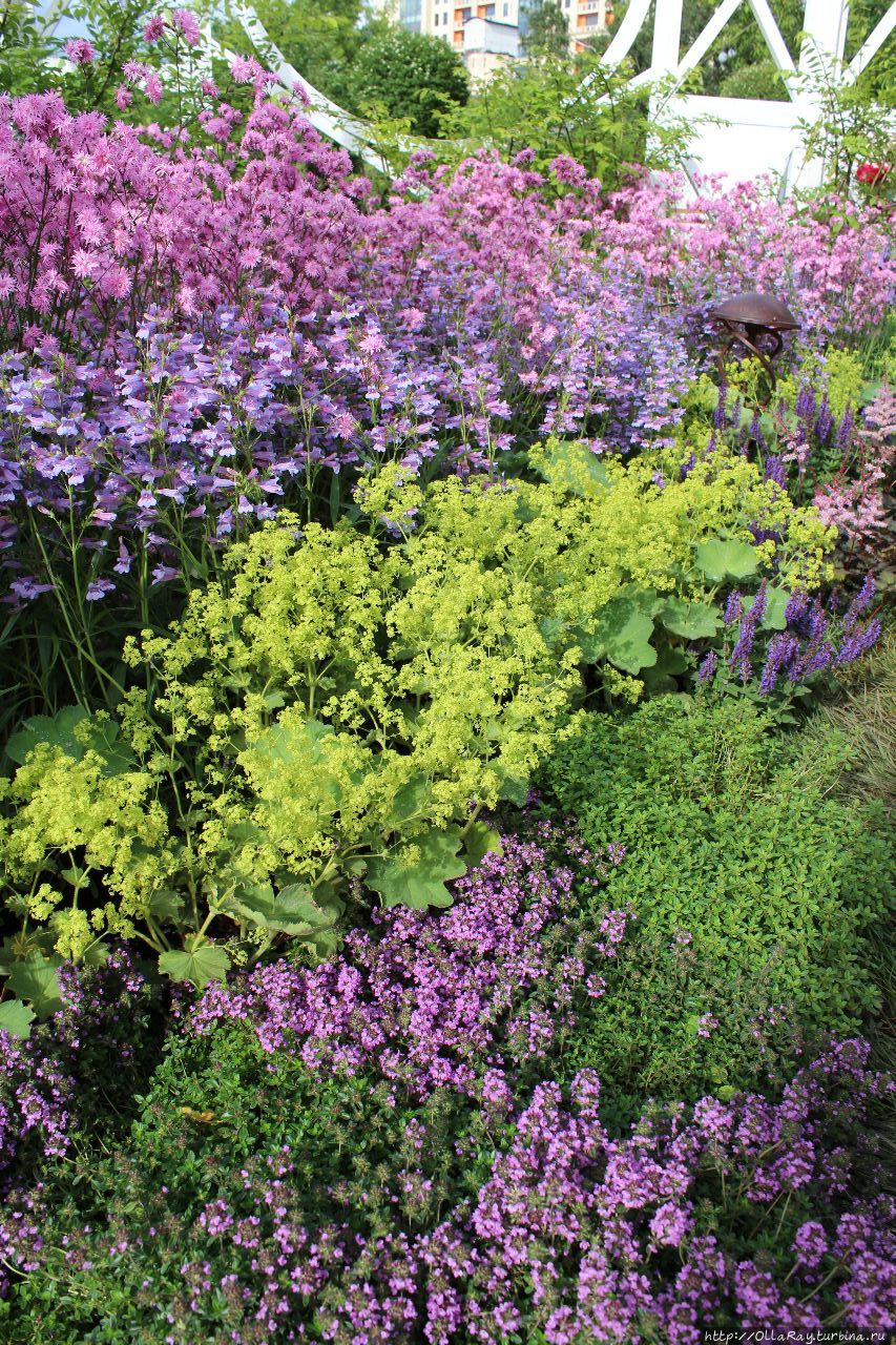 Moscow Flower Show 2017. Фотоотчёт и впечатления. Москва, Россия