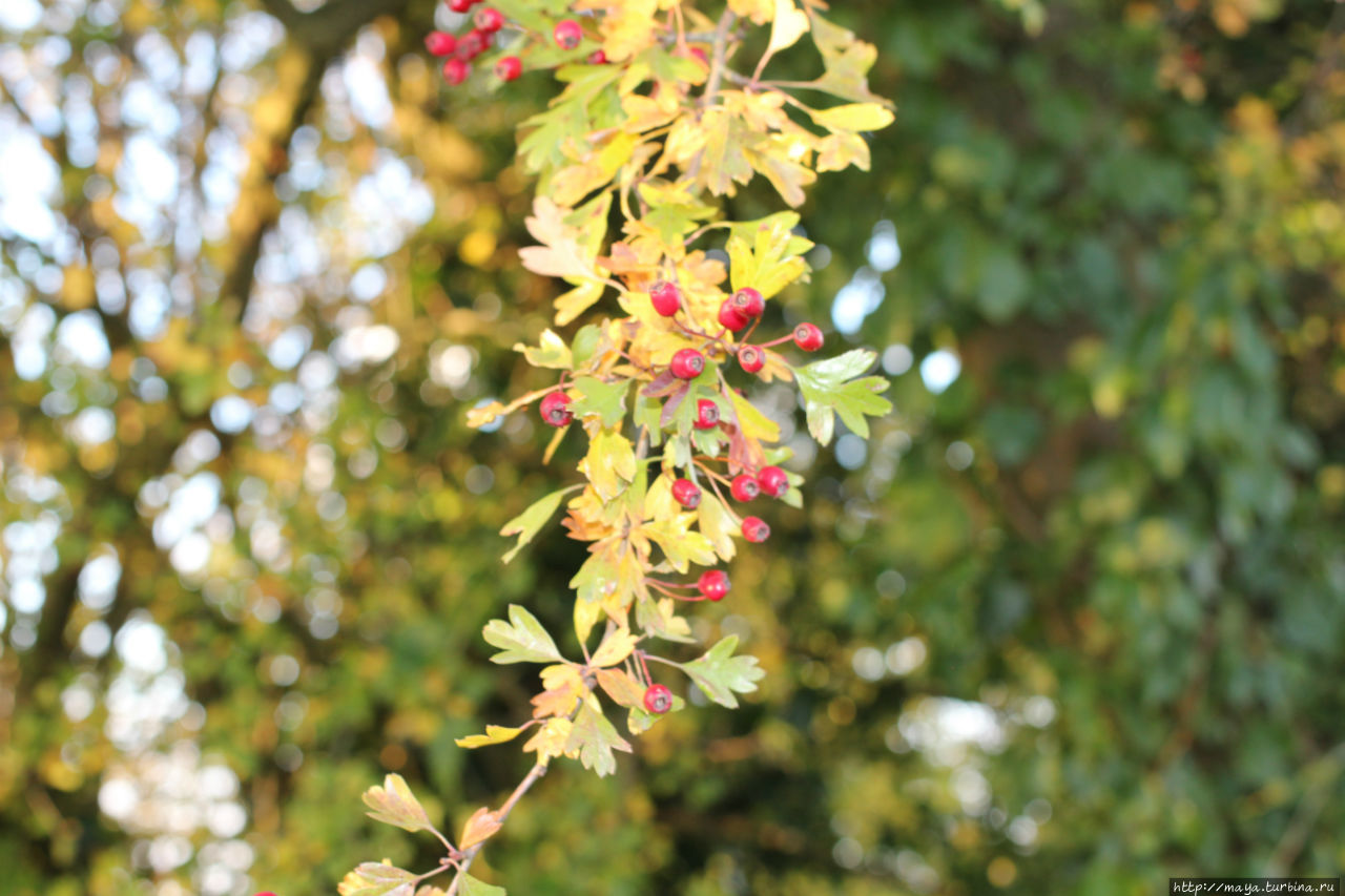 Осень. Намюр