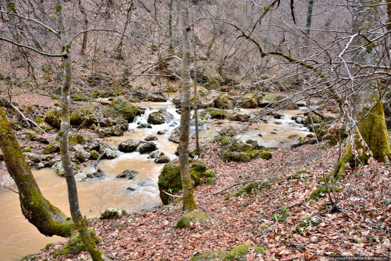 Водопады Руфабго Каменномостский, Россия