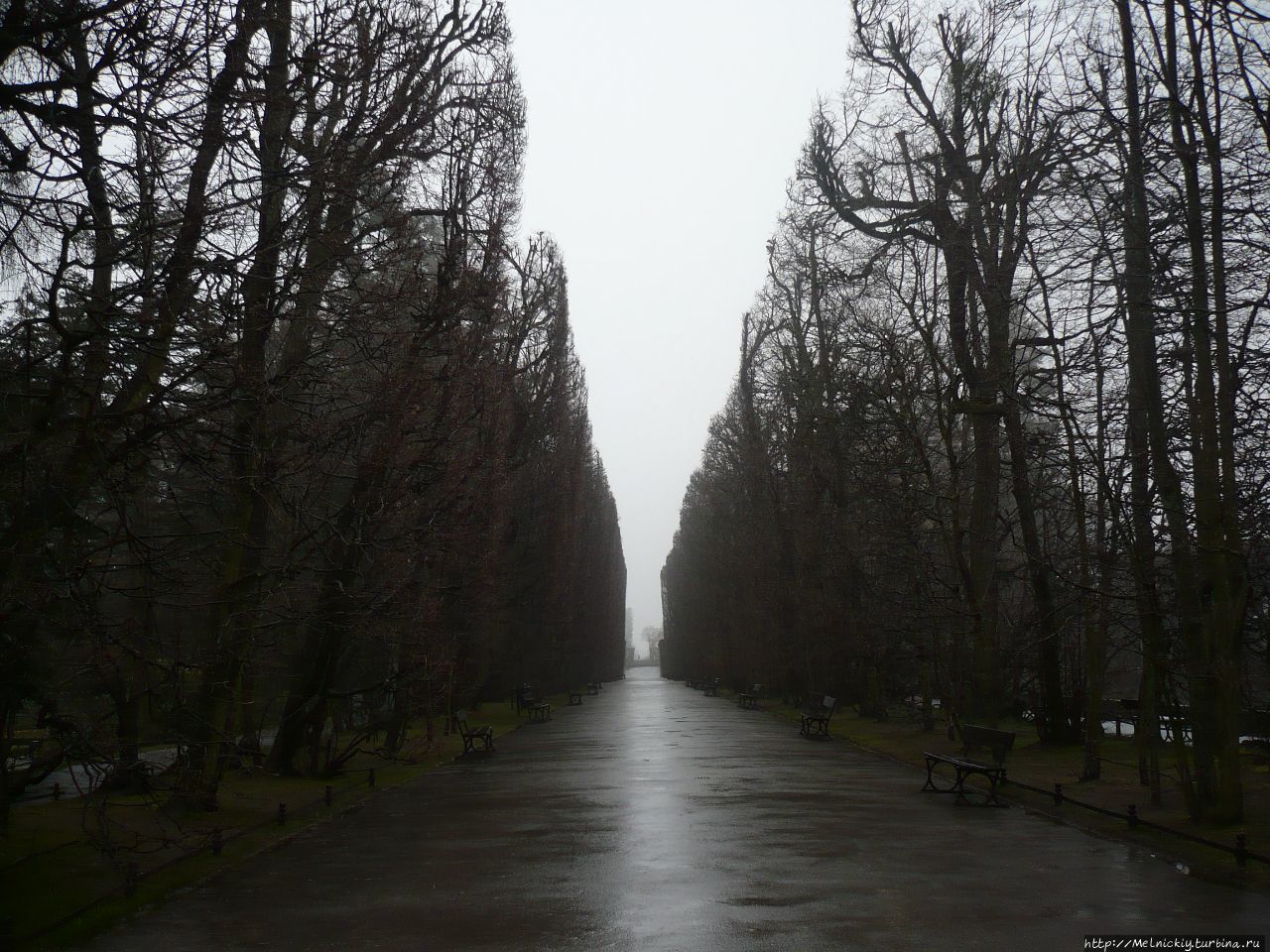 Оливский парк Гданьск, Польша