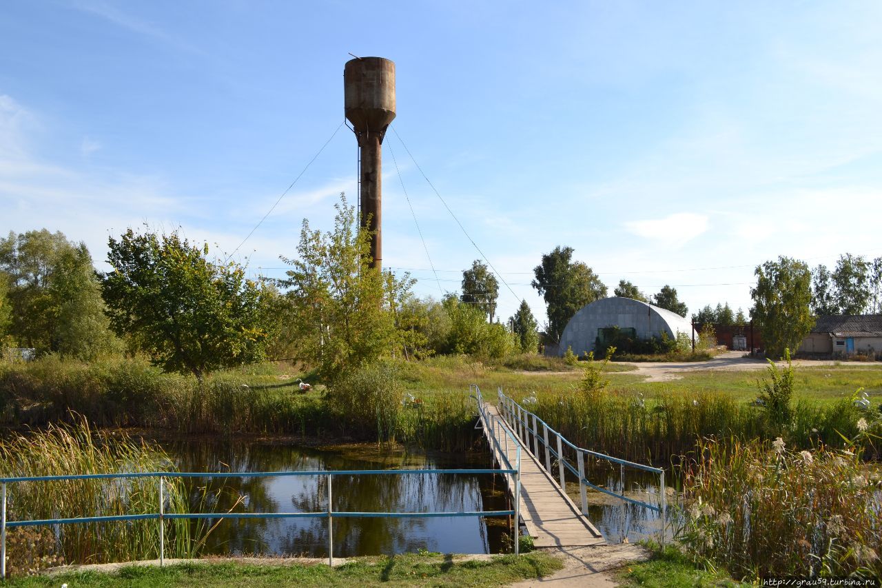 село лысые горы