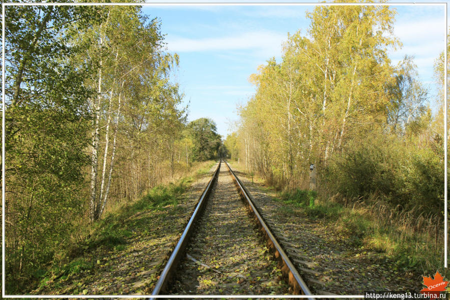 Почувствовать осень Дзержинский, Россия