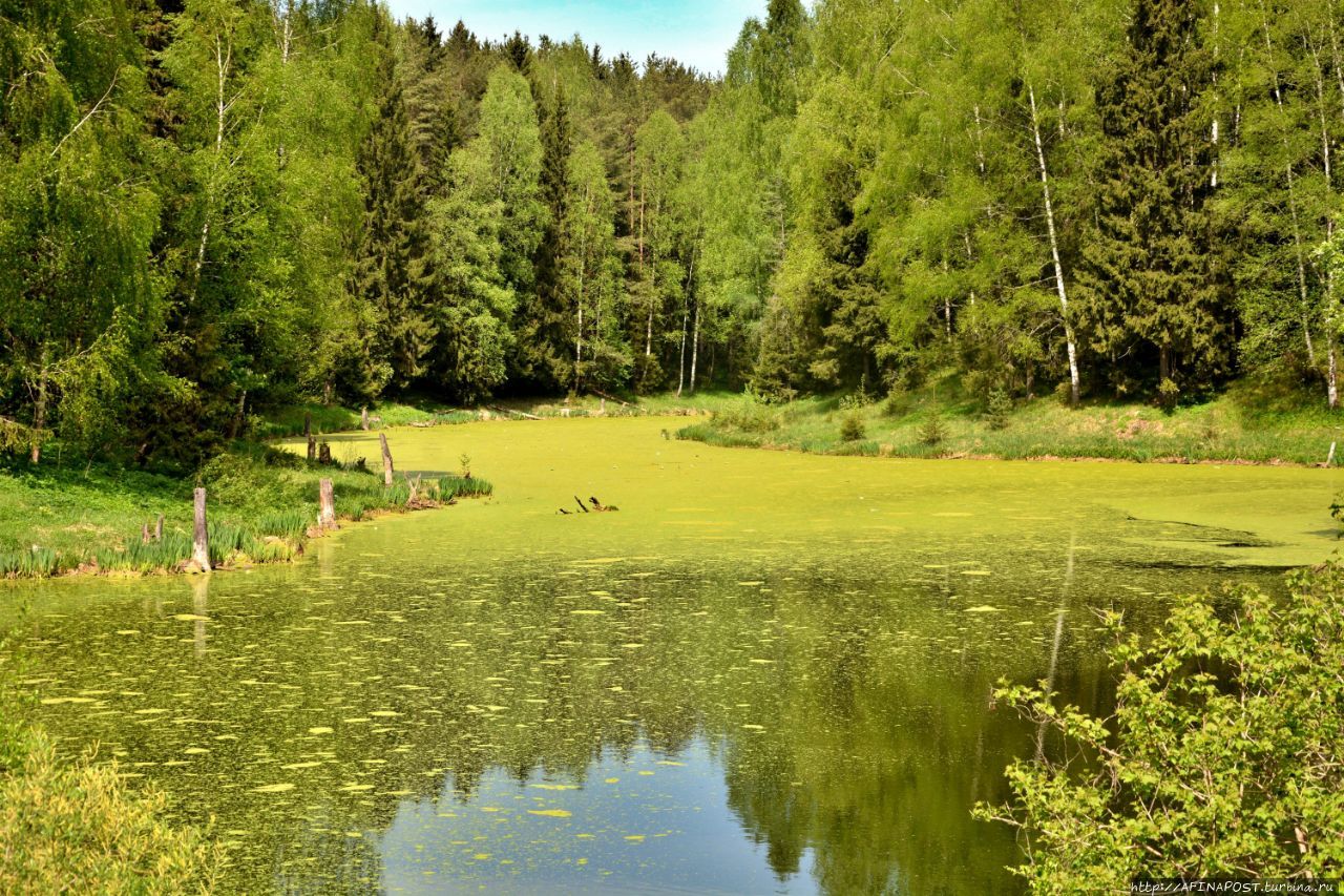 Хотьковский пруд Хотьково, Россия