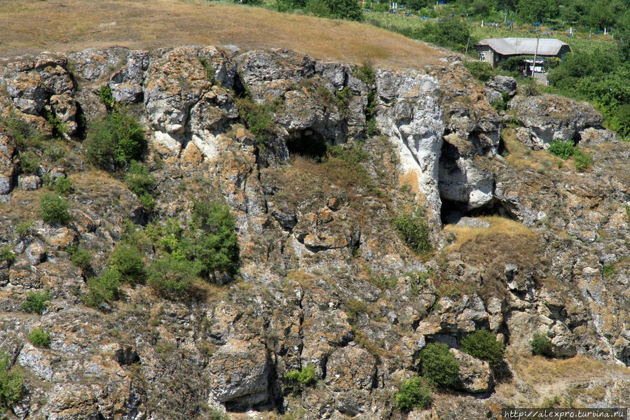 Ущелье Тринка, Единецкий р-он Молдова