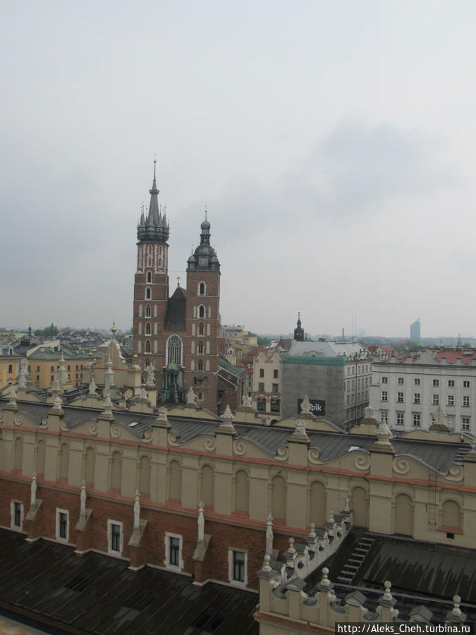 Вид на Мариацкий Костел с башни былой Ратуши Краков, Польша