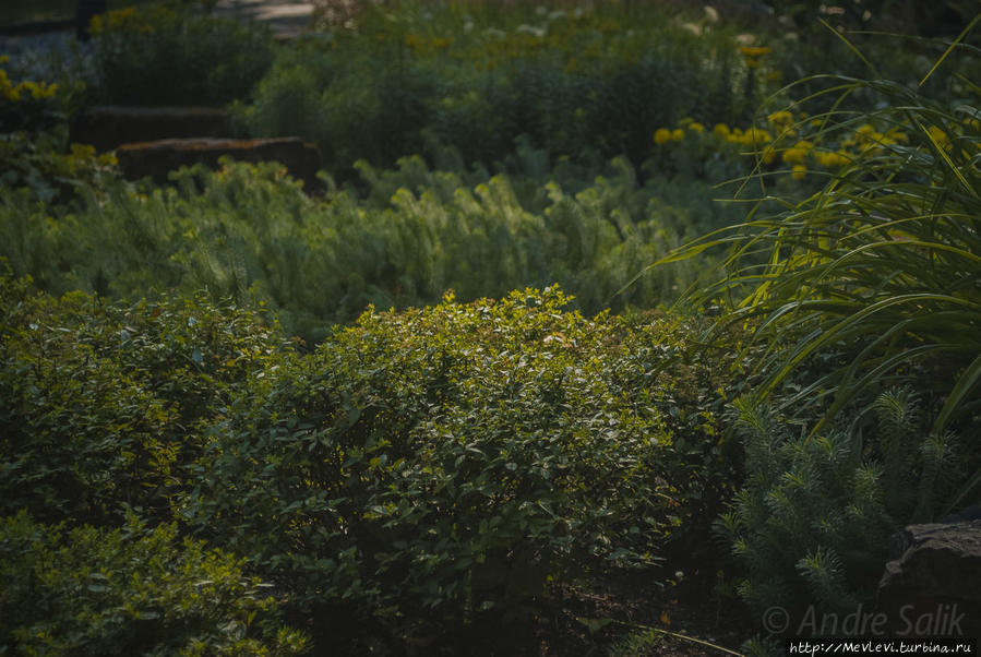 Чем дышит город Рига, Латвия