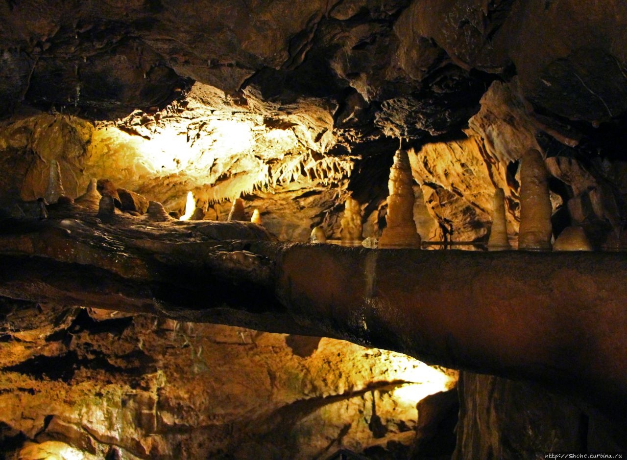 Пещера Гоф Чеддар, Великобритания