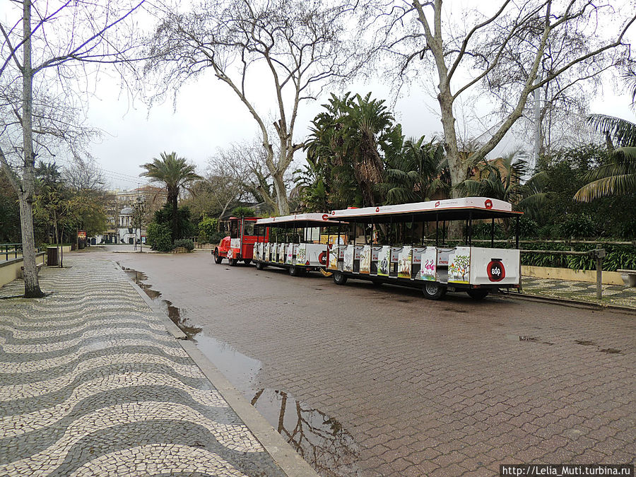 поезд... провезет по центру зоопарка.... Лиссабон, Португалия