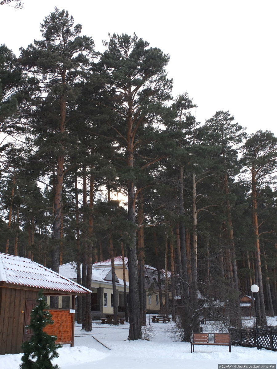 Я в весеннем лесу....пил))) Красноярск, Россия